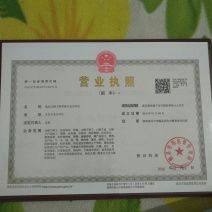 中国梦木本油料毛叶山桐子树20年的老树采的树种