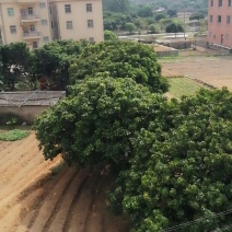 山地