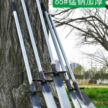 唐唐挖树铲子全钢加厚起苗洛阳铁铲户外断树根农用工具挖土