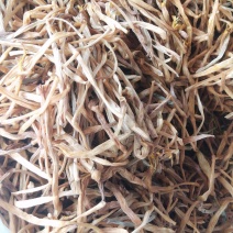 甘针菜