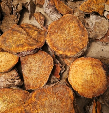 [大黄批发]马蹄大黄,根黄价格10.00元/斤 - 一亩田