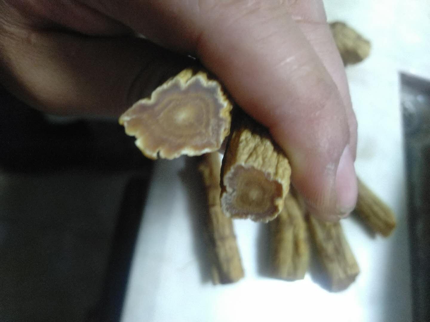 高丽参与红参切片对比图