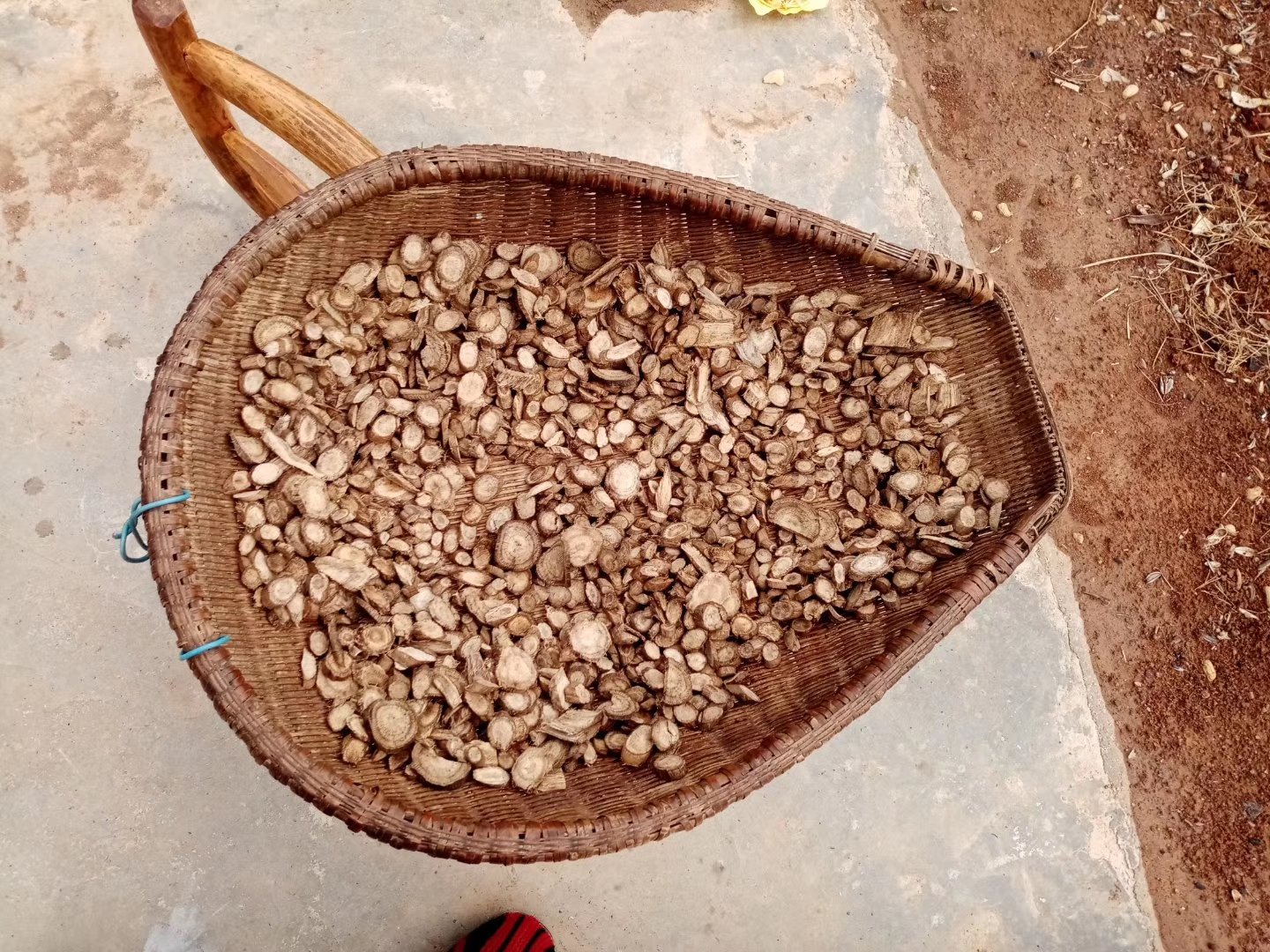 黄芩常温软化处理示意图