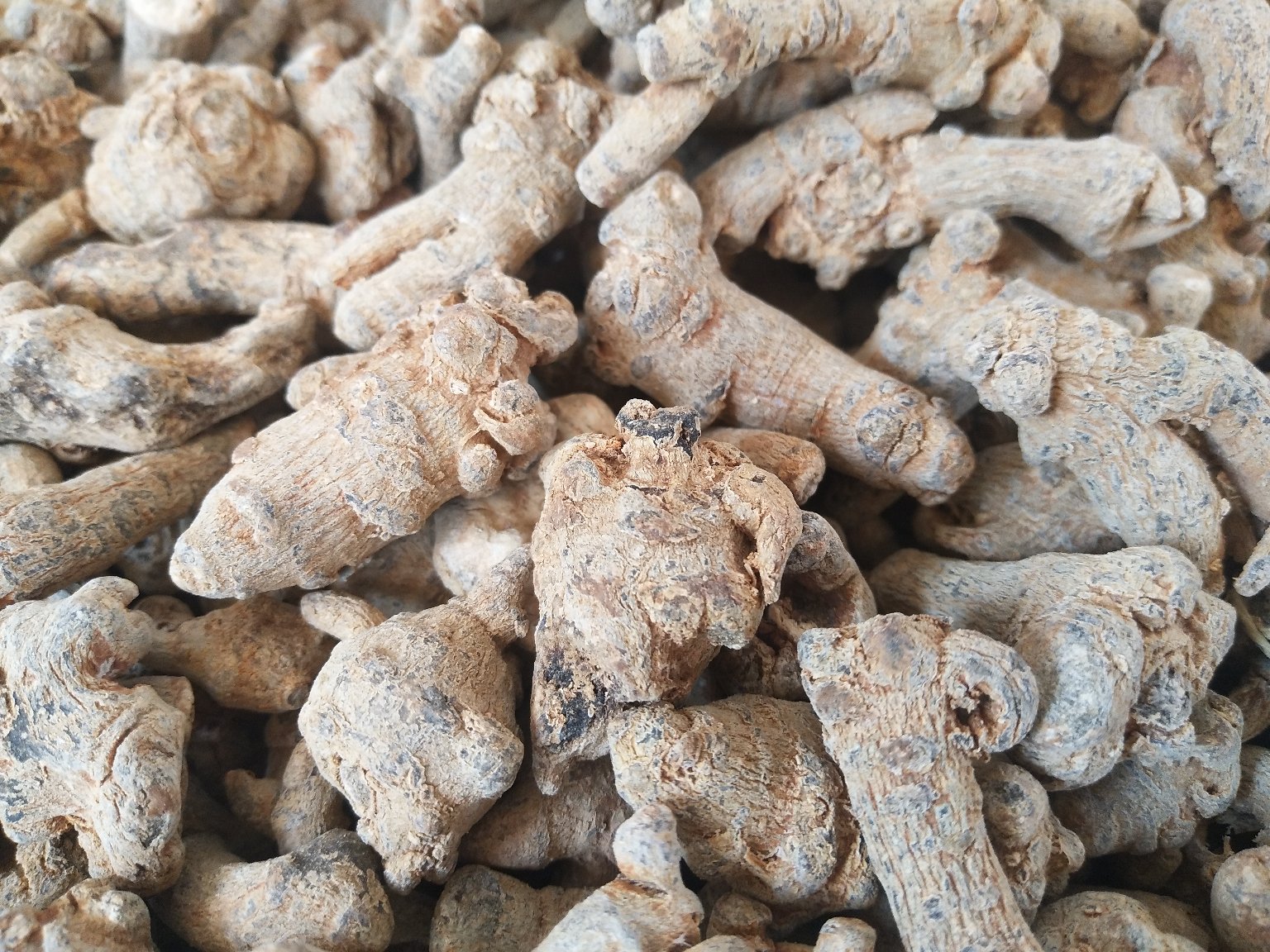计算机辅助药物设计(CADD)可视化结果:三七特有皂苷R1分子(球棍模型)精准嵌入MMP-9酶活性口袋(表面图),与Glu402、Leu397形成3个稳定氢键(红色虚线),阻断底物胶原蛋白结合,抑制斑块基质降解 三七皂苷R1分子结构式与MMP-9活性口袋对接模拟图,红色虚线标示氢键结合位点