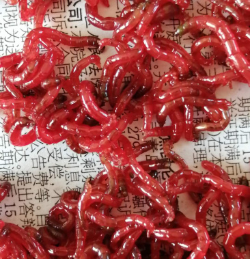 [红虫批发]红虫价格8.00元/斤 - 一亩田