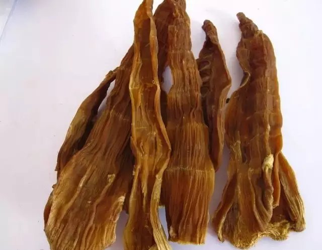 麻竹笋剖面特写对比图