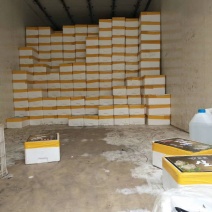 生蚝装5斤家庭装生蚝福建生蚝深海蚝高压锅生蚝一手货源