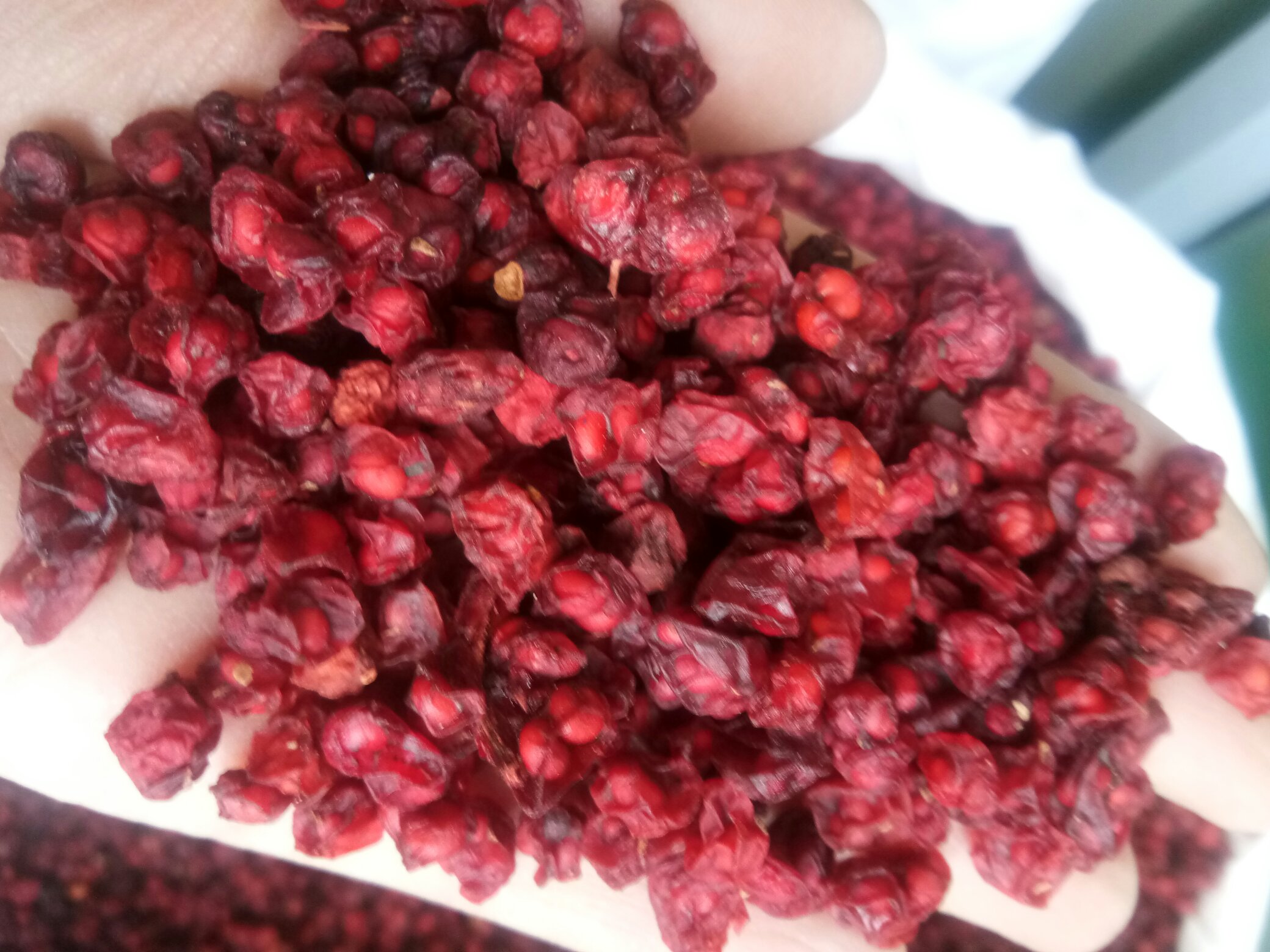 五味子南北产地对比图