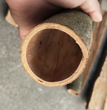 桂皮肉桂桂树皮桂木皮桂树皮桂皮苗木皮统桂