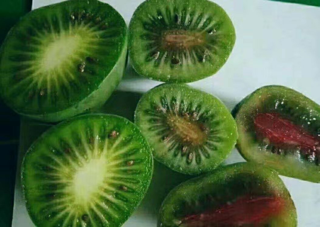 软枣猕猴桃切开展示果肉结构,绿色果肉与黑色种子清晰可见 软枣猕猴桃切开展示果肉结构