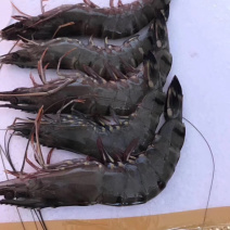 草虾