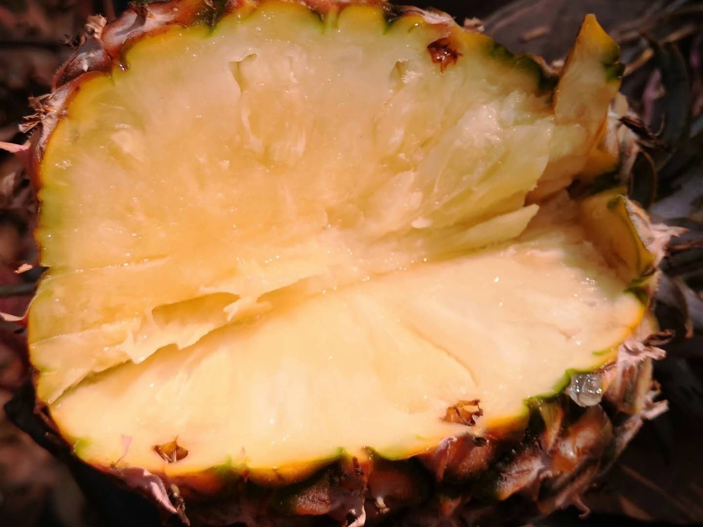 菠萝切开后内部的白色簇状花结构