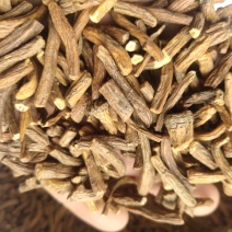 蒲公英根中选蒲公英根茶新货关书药业