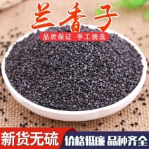 兰香子正宗台湾罗勒子可食用网红珍珠果奶茶子露生物科技包邮