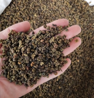 中药材吴茱萸茶辣漆辣子新货产地直销