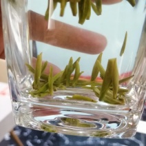 竹叶青茶