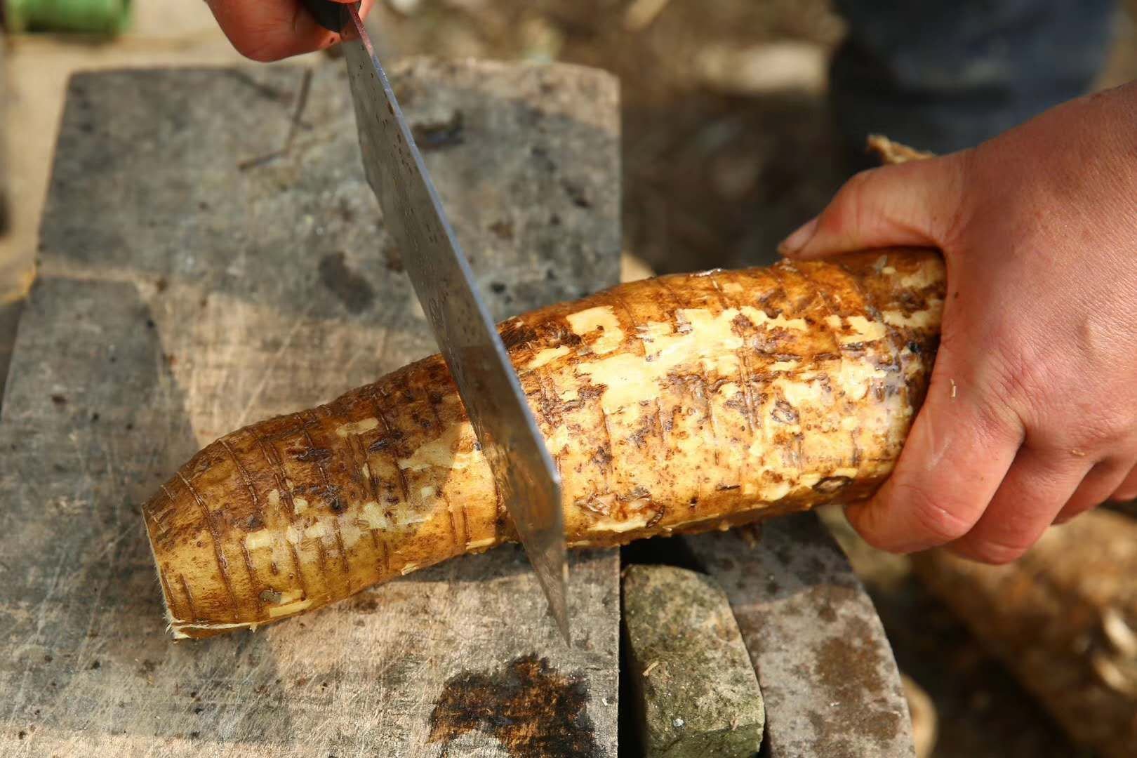 展示粉葛切片与烹饪后的成品,突出其细腻质地和清甜风味 粉葛切片与烹饪成品展示图