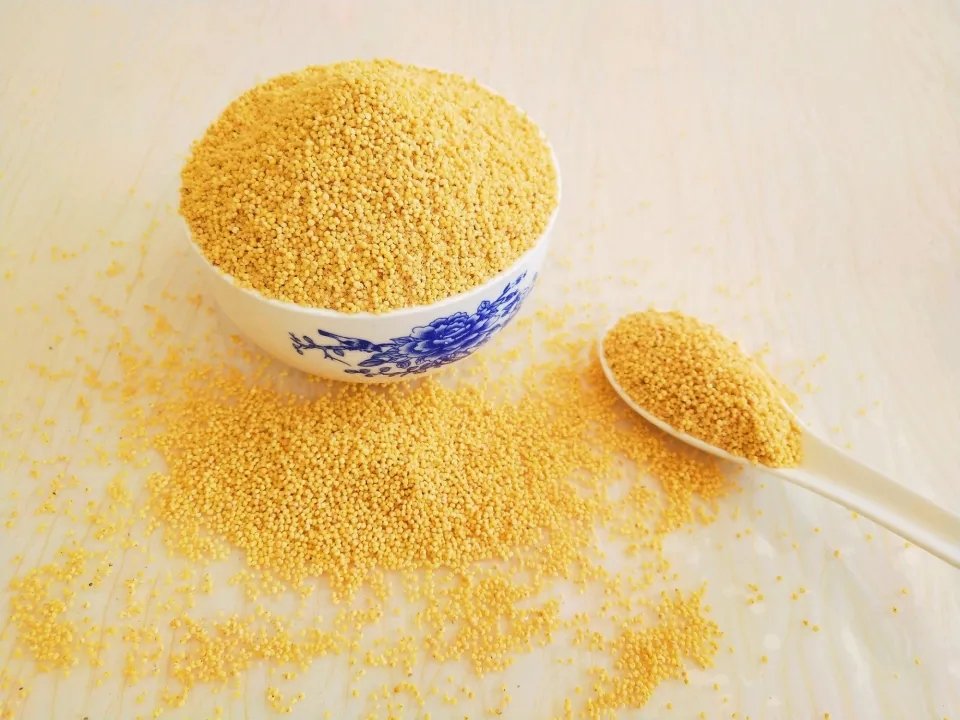 医院急诊室中的病人正在接受输液治疗