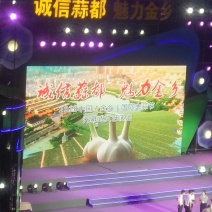 大蒜，红皮大蒜种子批发