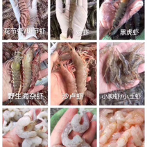 各类海鲜各类丸子各位小吃诚招代理批发小区拼单合作