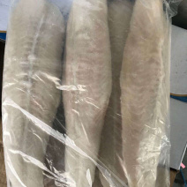 巴沙鱼越南工厂
