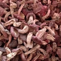 伏牛山【精选红菇】天然野生味道鲜美量大从优