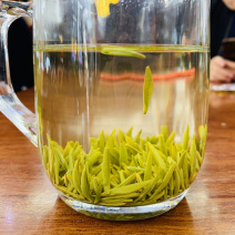 贡茶