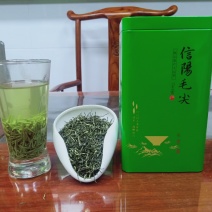 信阳毛尖新茶绿茶2020年雨前一级