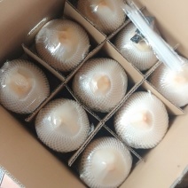 海南椰青