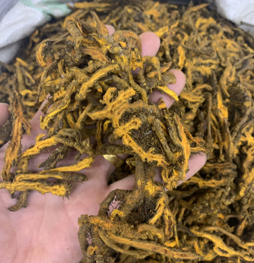 [黄连批发]黄连 单枝莲 鸡爪连无硫磺熏蒸一公斤起批价格240.