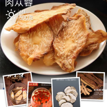 补肾5宝茶