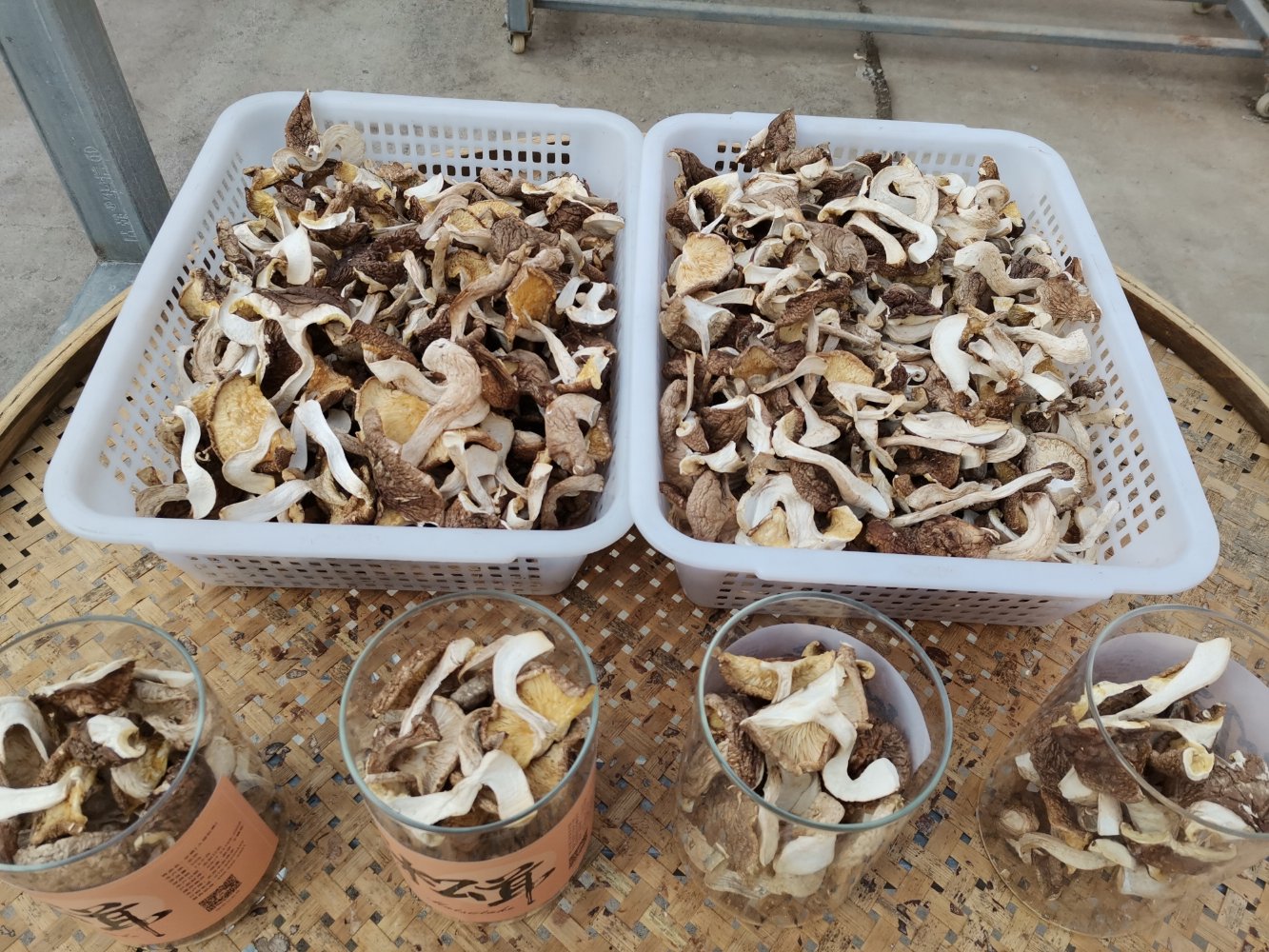 松茸保鲜保存示意图