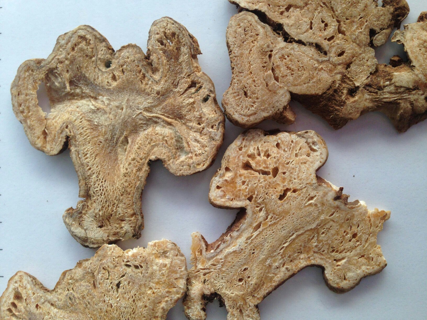 白术片的切面特写图,展示其颜色、质地与内部结构 白术片特写