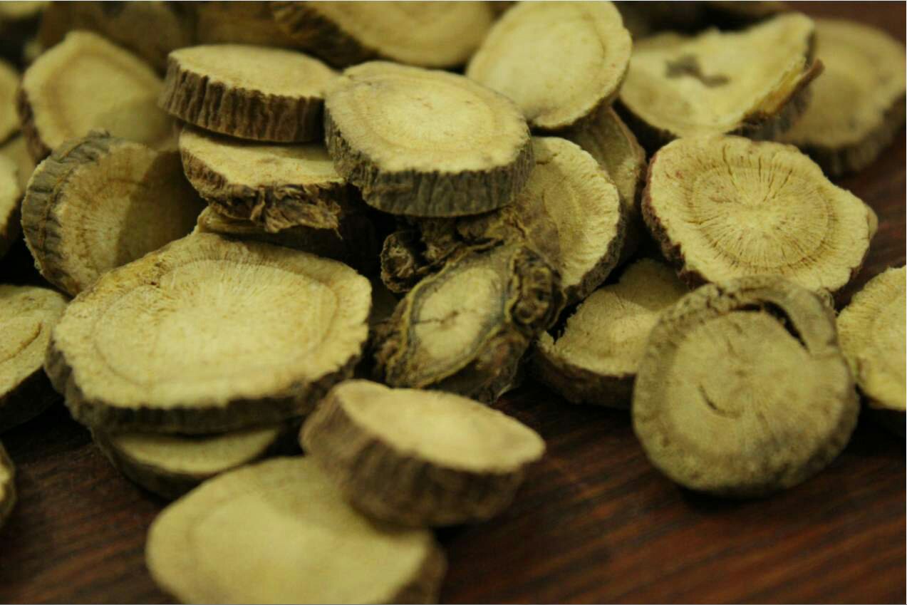 中药黄芩饮片图