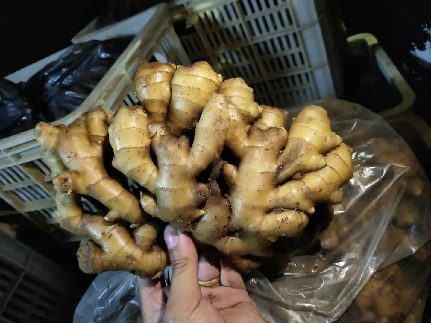 烤生姜特写：带焦褐表皮的完整小块生姜，切面呈琥珀色半透明状，表面渗出微亮姜油，置于粗陶盘中，背景为木质砧板与竹制烤架