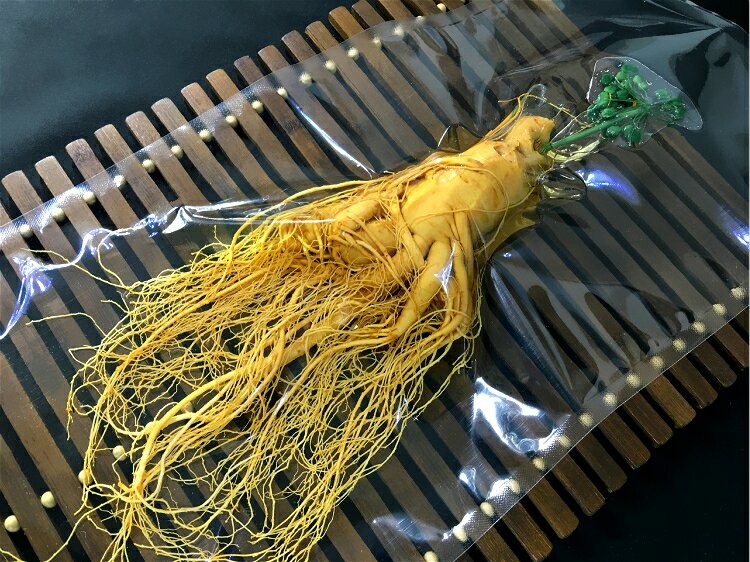 展示人参被放入真空包装机中进行密封处理的场景,背景为现代化厨房或食品加工环境 人参在真空包装机中进行封装操作