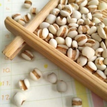 炒熟薏米赤小豆薏仁米薏米仁红豆薏米祛濕茶不包邮