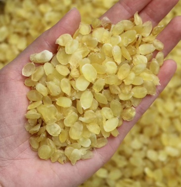 特级双荚皂角米 中仔双荚 无熏硫泡发8倍颗粒饱满