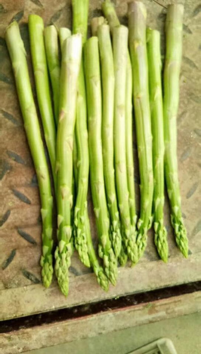 [芦笋批发]山东菏泽曹县芦笋 8.00元/斤青笋白笋大量上市!需 _ 一亩田