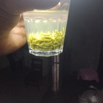 镇宁县白沙的村板岩组老树茶