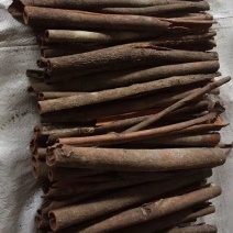 桂皮