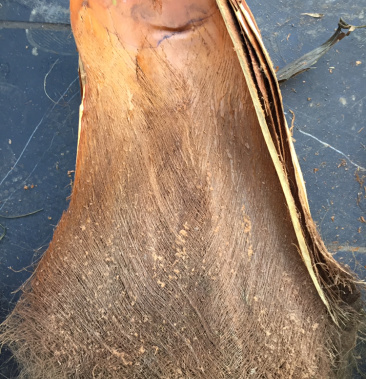 山棕片做棕床垫棕丝