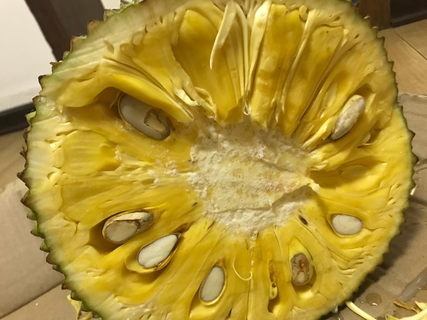 菠萝剖面展示黑心现象 菠萝剖面展示黑心现象