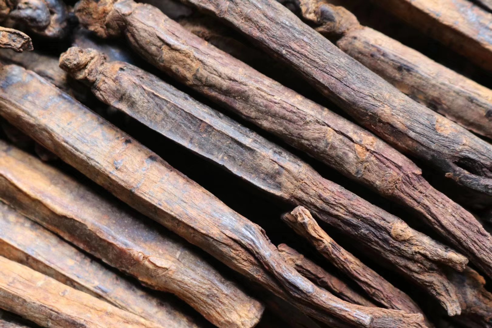 图片说明:高倍显微镜下的红参横切面图像,显示其内部组织结构。可见明显的树脂道分布、木质部导管群以及丰富的淀粉粒。背景为浅褐色,细节清晰,突出红参作为药材的微观特征,用于科学认知其成分构成 红参切片显微结构图