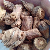 长白山蒲公英根茶