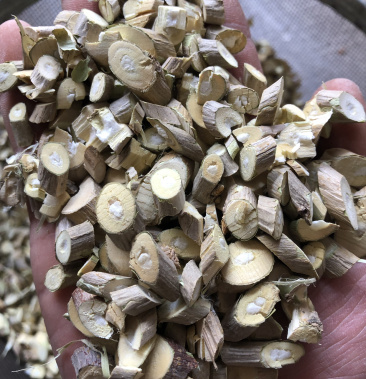 桑枝 中药材桑枝桑树枝爽桑枝桑叶树枝无硫新鲜干货一公斤起