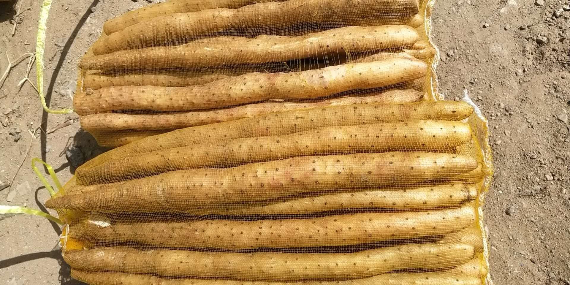 家庭厨房中山药防氧化处理示意图