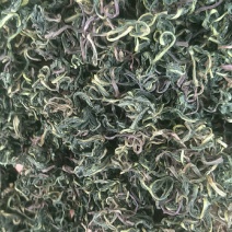 【蒲公英茶】蒲公英茶一件30斤，库房大量现货