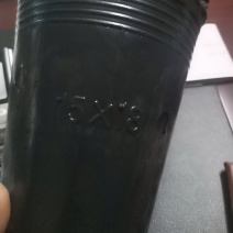 营养杯各种型号规格尺寸都有，包邮！
