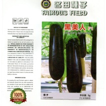 绿把棒茄子种子，品质好，产量高